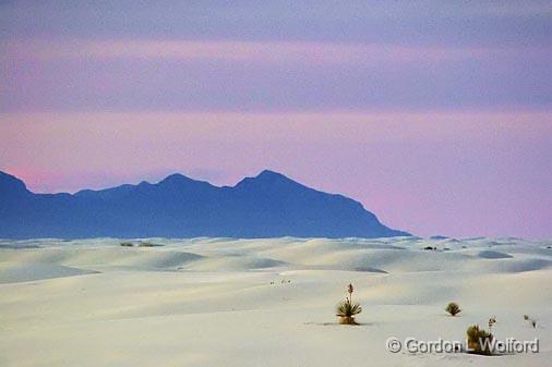 White Sands_32169nn.jpg - Photographed at the White Sands National Monument near Alamogordo, New Mexico, USA.